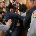 state-senator-pushed-to-the-ground,-arrested-while-trying-to-enter-georgia-house-chamber