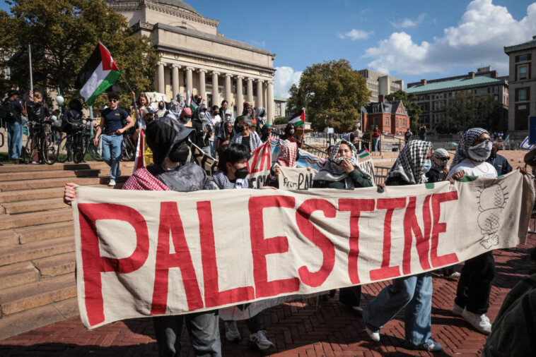 senior-citizens-outraged-over-columbia’s-decision-to-close-quad-access-over-israel-protest-sue-school:-‘made-my-life-more-difficult’