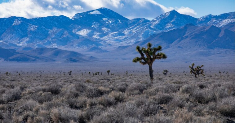 nevada-residents-furious-after-learning-what-was-bulldozed-to-make-room-for-‘green’-solar-farm