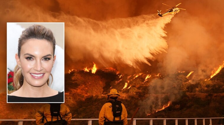 hollywood-actress-calls-la-fires-‘a-disaster,’-says-not-enough-was-done-by-elected-officials