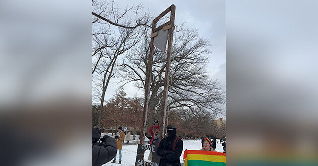 watch-—-‘come-get-sum’:-anti-trump-protesters-erect-mock-guillotine-on-inauguration-day