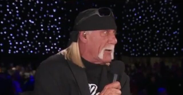 hulk-hogan:-the-only-person-biden-didn’t-pardon-was-hunter’s-little-baby-with-the-stripper