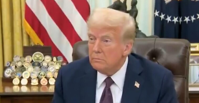 president-trump-responds-to-judge’s-decision-to-temporarily-block-his-executive-order-on-birthright-citizenship-(video)