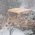 li-bus-driver-awarded-for-safely-maneuvering-out-of-control-vehicle-on-icy,-sloped-road