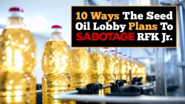 10-ways-the-seed-oil-lobby-plans-to-sabotage-rfk-jr.