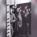 auschwitz-80-years-since-liberation:-ryszard-horowitz’s-story-of-survival-and-making-the-american-dream