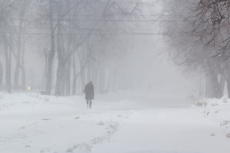 ohio-woman-freezes-to-death-in-backyard-while-letting-dog-outside