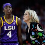 south-carolina-suspends-dj-who-controversially-played-song-to-troll-lsu,-flau’jae-johnson