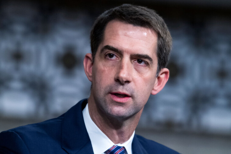 cotton-urges-trump-to-‘revisit’-his-decision-to-pull-protective-details-off-people-targeted-by-iran