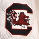 south-carolina-apologizes-to-lsu-for-song-choice