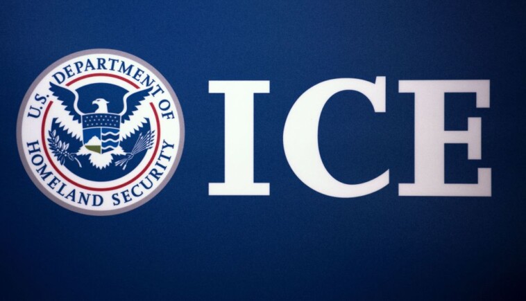 spin-cycle:-ice-agents-on-the-streets,-troops-at-the-border,-illegals-on-planes