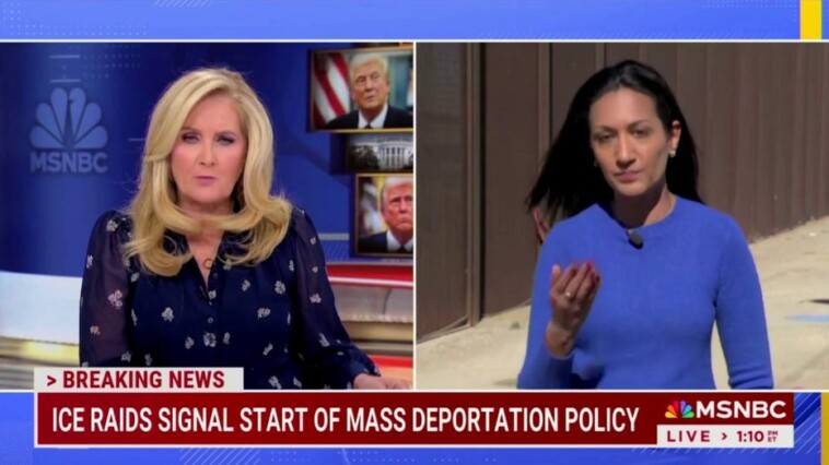 msnbc-anchor-corrects-her-correspondent-on-air:-they’re-‘undocumented-immigrants’