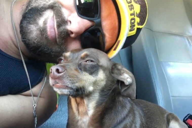 arizona-man-reunited-with-lost-dog-after-8-years-while-en-route-to-aid-wildfire-relief-in-california