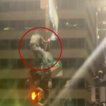 eagles-fan,-18,-dead-after-fall-from-light-pole-in-nfc-championship-celebration