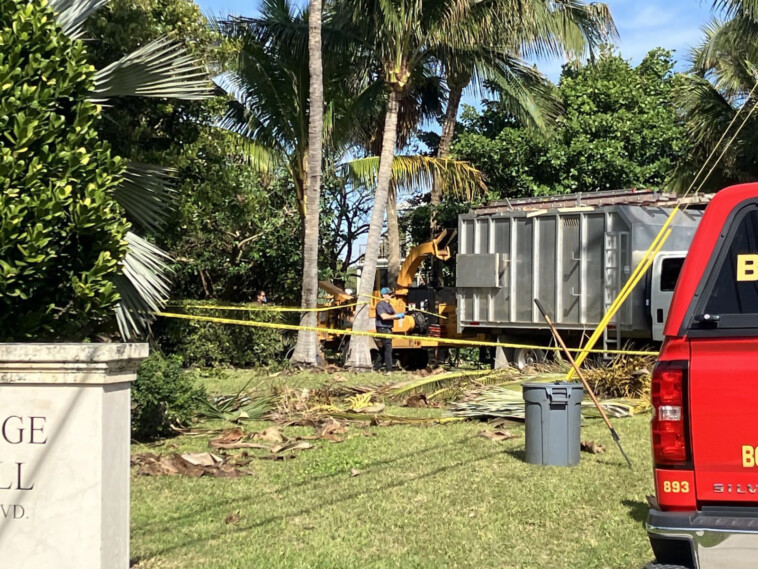 florida-tree-trimmer-killed-after-getting-caught-in-wood-chipper-while-working-at-town-hall