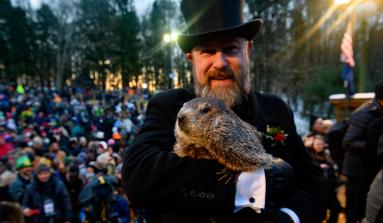 peta-petitions-to-replace-punxsutawney-phil-with-‘weather-reveal’-vegan-cake-on-groundhog-day