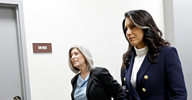 exclusive:-sen.-joni-ernst-to-praise-tulsi-gabbard’s-‘duty,-honor,-service’-to-her-country-during-confirmation-hearing