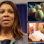 ny-ag-letitia-james-warns-against-price-gouging-on-eggs-amid-bird-flu-outbreak