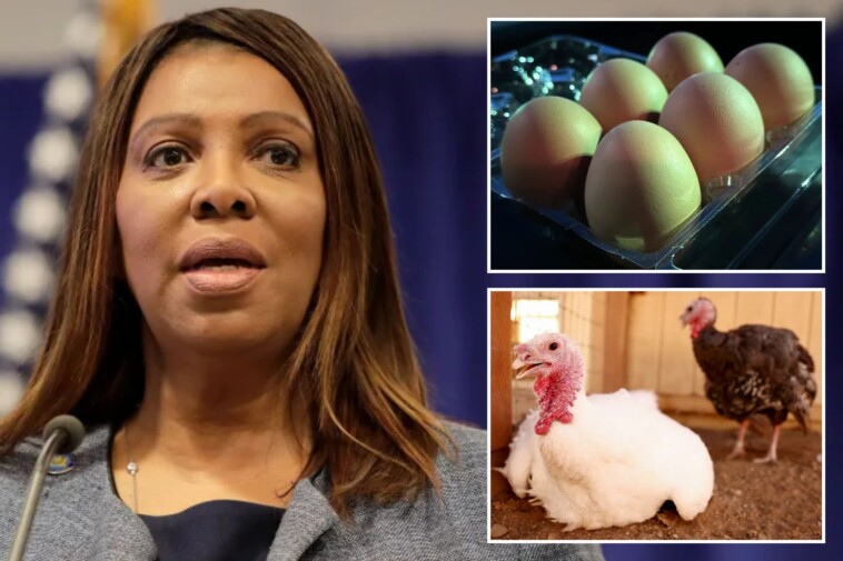 ny-ag-letitia-james-warns-against-price-gouging-on-eggs-amid-bird-flu-outbreak