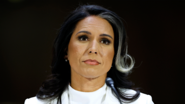 top-senate-intelligence-dem-grills-gabbard-if-edward-snowden-is-‘brave’:-‘very-troubling’