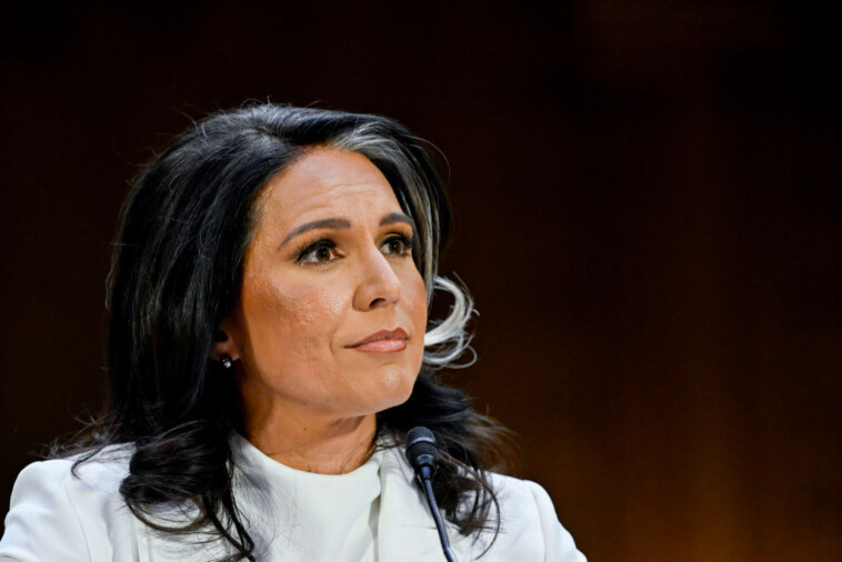 tulsi-gabbard-spits-fire-in-opening-statement:-‘i-refuse-to-be-their-puppet!’