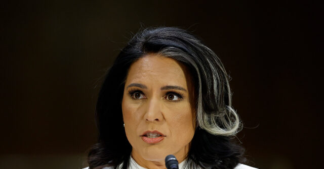 tulsi-gabbard-addresses-‘lies-and-smears’-in-opening-statement-at-confirmation-hearing