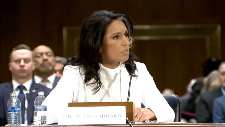 babylon-bee-writers-get-nothing-done-as-tulsi-gabbard-is-on-tv