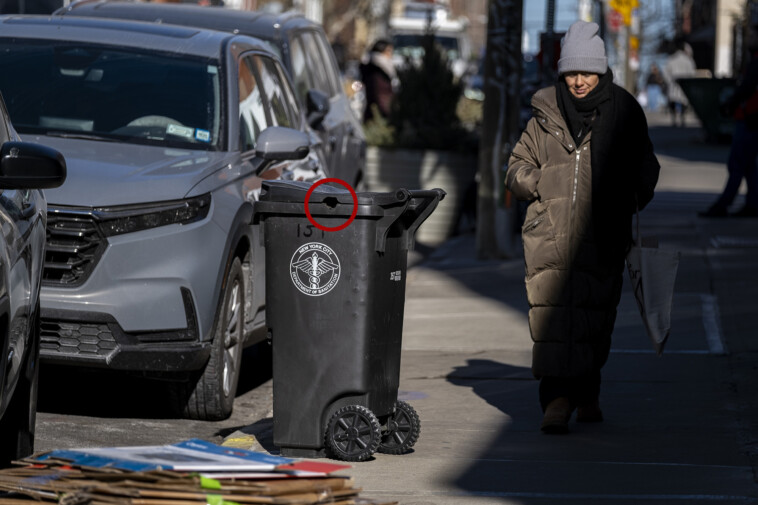 rodents-apparently-gnaw-through-dense-‘rat-proof’-trash-bins-mandated-by-nyc