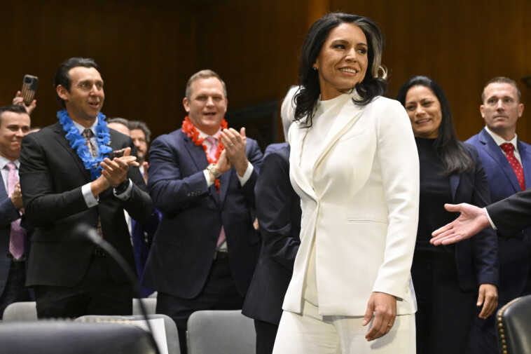 tulsi-gabbard-defends-‘good-judgment’-on-bashar-al-assad-meeting,-refuses-to-call-edward-snowden-‘traitor’-during-hearing-before-skeptical-gopers