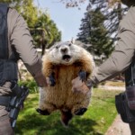 punxsutawney-phil-deported-after-birth-certificate-reveals-he’s-from-canada