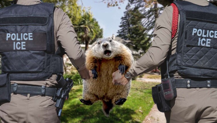 punxsutawney-phil-deported-after-birth-certificate-reveals-he’s-from-canada