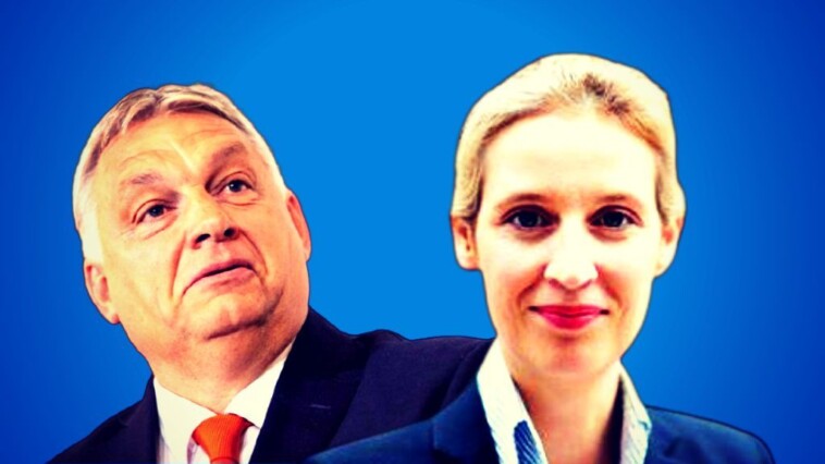 the-right-articulates:-afd’s-leader-alice-weidel-to-visit-hungary-to-meet-with-prime-minister-viktor-orban,-as-the-german-right-wing-party-grows-less-isolated-by-the-day