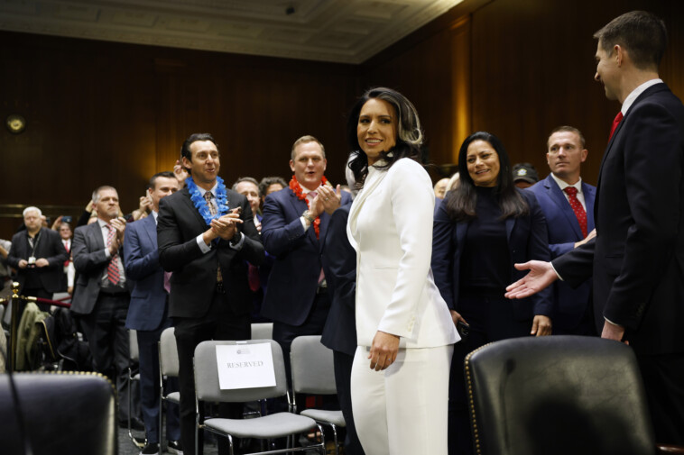 tulsi-gabbard-clears-senate-committee-in-bid-to-lead-us-intelligence-community