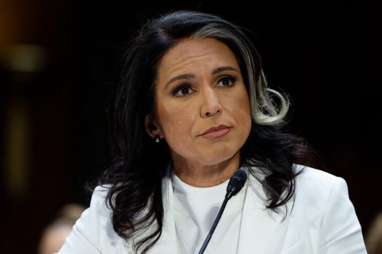 gabbard-approved-by-intelligence-committee,-moves-forward-to-senate-confirmation-vote