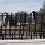 secret-service-swarm-black-clad-man-who-tried-climbing-over-white-house-fence-after-saying:-‘f–k-it’