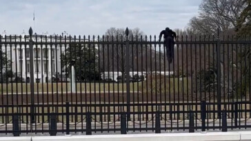 secret-service-swarm-black-clad-man-who-tried-climbing-over-white-house-fence-after-saying:-‘f–k-it’