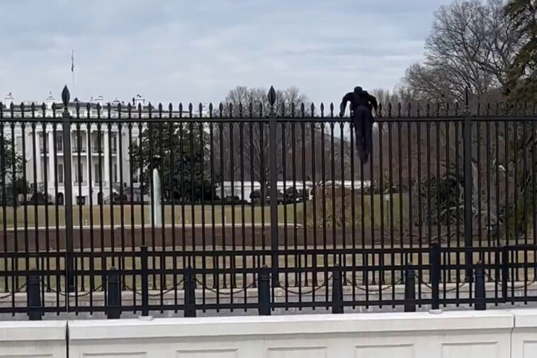 secret-service-swarm-black-clad-man-who-tried-climbing-over-white-house-fence-after-saying:-‘f–k-it’