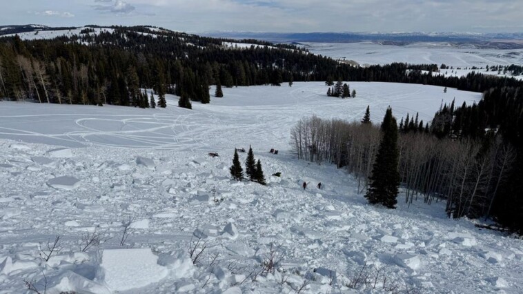 utah-snowmobiler-killed-in-avalanche-after-being-‘fully-buried’