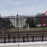 man-tries-storming-white-house-grounds,-has-seconds-thoughts-after-small-shadows-begin-moving-on-the-roof