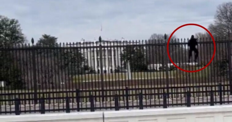 man-tries-storming-white-house-grounds,-has-seconds-thoughts-after-small-shadows-begin-moving-on-the-roof