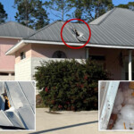 massive-chunk-of-ice-falls-from-the-sky,-pierces-florida-home-and-no-one’s-sure-where-it-came-from