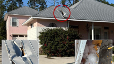 massive-chunk-of-ice-falls-from-the-sky,-pierces-florida-home-and-no-one’s-sure-where-it-came-from