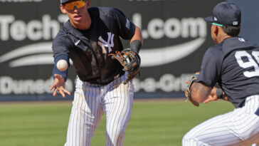 the-top-yankees-prospects-invited-to-big-league-spring-training