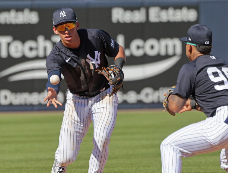 the-top-yankees-prospects-invited-to-big-league-spring-training