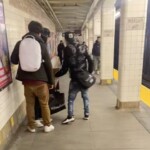 hero,-15,-saves-female-friend-in-nyc-subway-from-beer-chugging-migrants-—-but-judge-sets-one-free