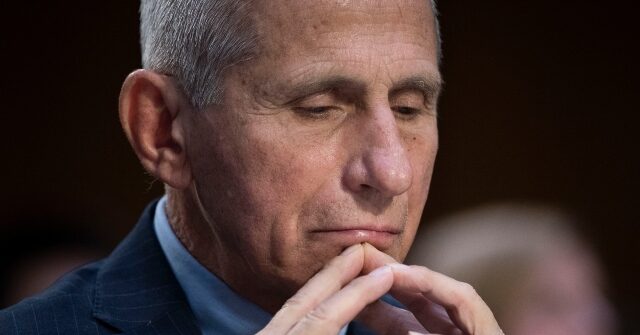 republican-attorneys-general-seek-to-bypass-biden-pardon,-investigate-fauci-on-state-level