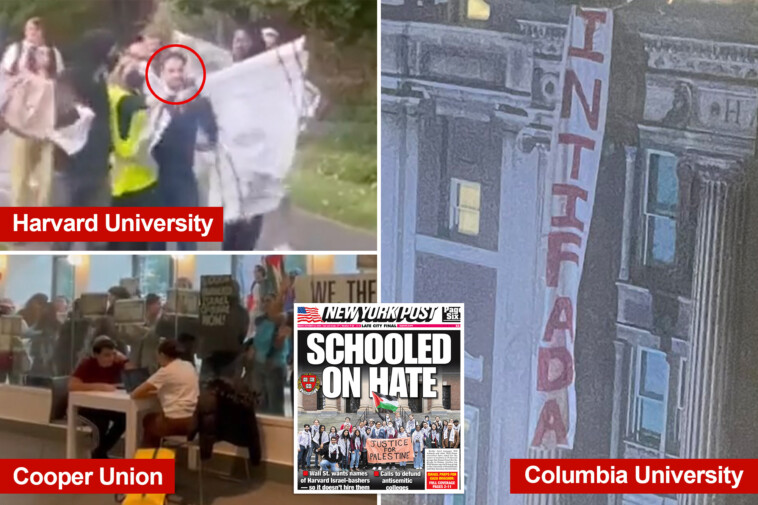 ny-dems-look-to-crack-down-on-raging-campus-antisemitism-in-series-of-new-bills-that-get-tough-on-colleges