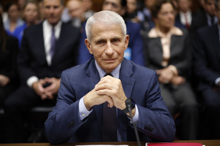 doge-cancels-anthony-fauci-museum-exhibit-in-federal-cutting-spree