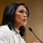 tulsi-gabbard-faces-next-test-in-confirmation-battle-with-key-senate-hurdle