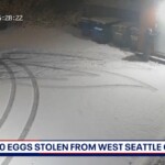 hundreds-of-eggs-stolen-from-seattle-cafe-as-bird-flu-sends-prices-soaring